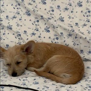 Meet your Posher, Arlene